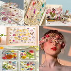 Bulk 410Pcs 11 Packs Mixed Real Natural Dried Pressed Flowers, Leaves & - Image 6