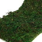 USMOLA Moss Roll, Dried Moss for Crafts, Moss Table Runner for Fairy Gardens - Image 3