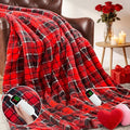 Heated Electric Blanket Full Size, 72X84 Heating Blanket, Fast Heating Washable by OCTROT