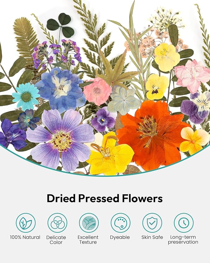 Dried Flowers, Resiners 100Pcs Pressed Flowers - Image 4