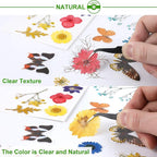 Augshy Real Dried Pressed Flower Set - Image 4