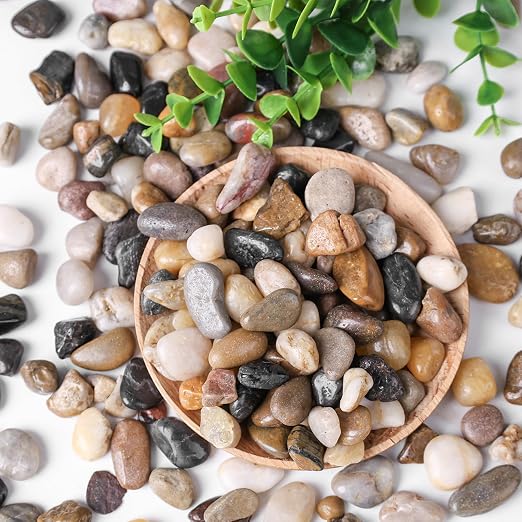 DomeStar River Rocks for Landscaping, 2lb Decorative Ornamental Pebbles Garden - Image 4