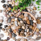 DomeStar River Rocks for Landscaping, 2lb Decorative Ornamental Pebbles Garden - Image 4