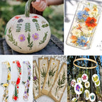 122PCS Large Nature Dried Pressed Flowers - Image 7