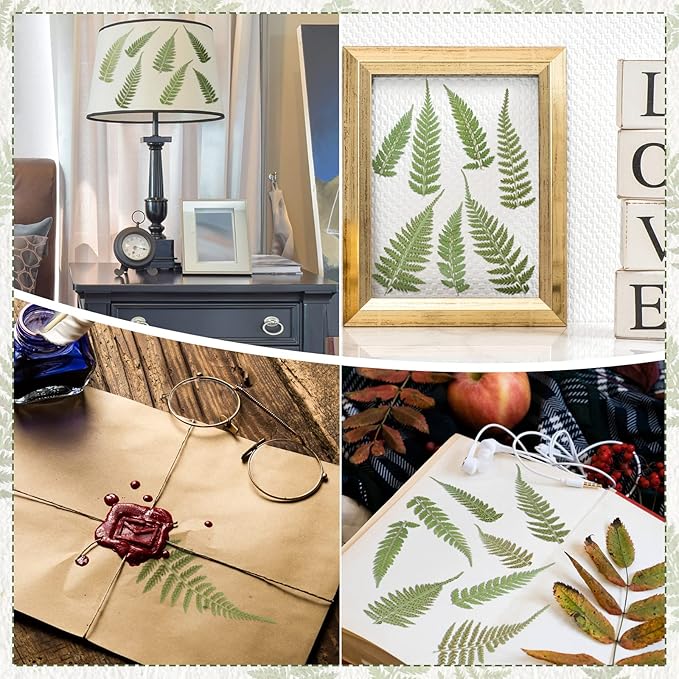 Fabbay 200 Pcs Pressed Dried Flowers Leaves Real Natural Ferns Dried Leaves - Image 6