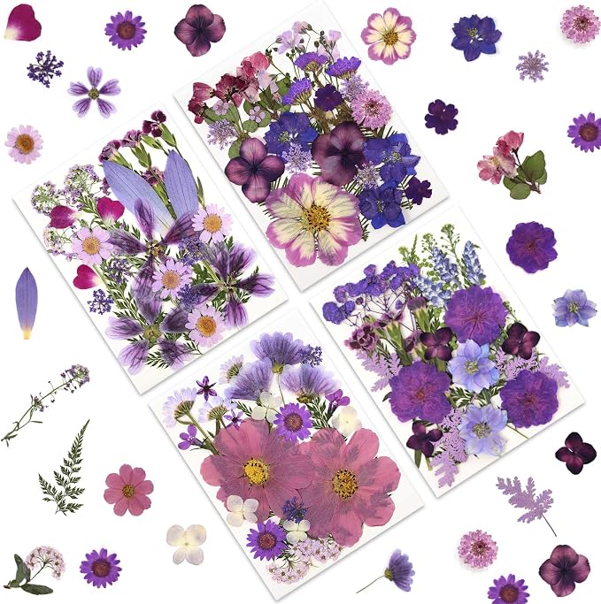 LUXEEASE 100P Purple Dried Pressed Flowers | Dusty mauve shades, big to tiny by LUXEEASE