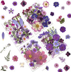 LUXEEASE 100P Purple Dried Pressed Flowers | Dusty mauve shades, big to tiny by LUXEEASE