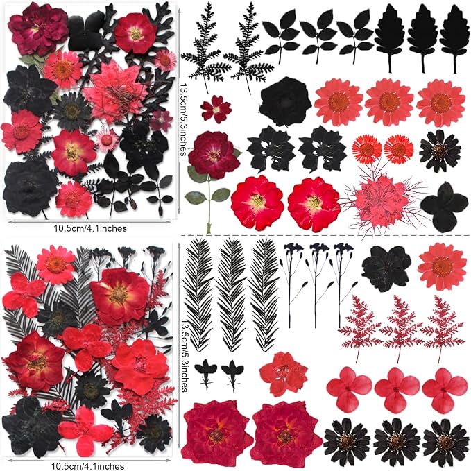 141PCS Black Red Dried Pressed Flowers - Image 3