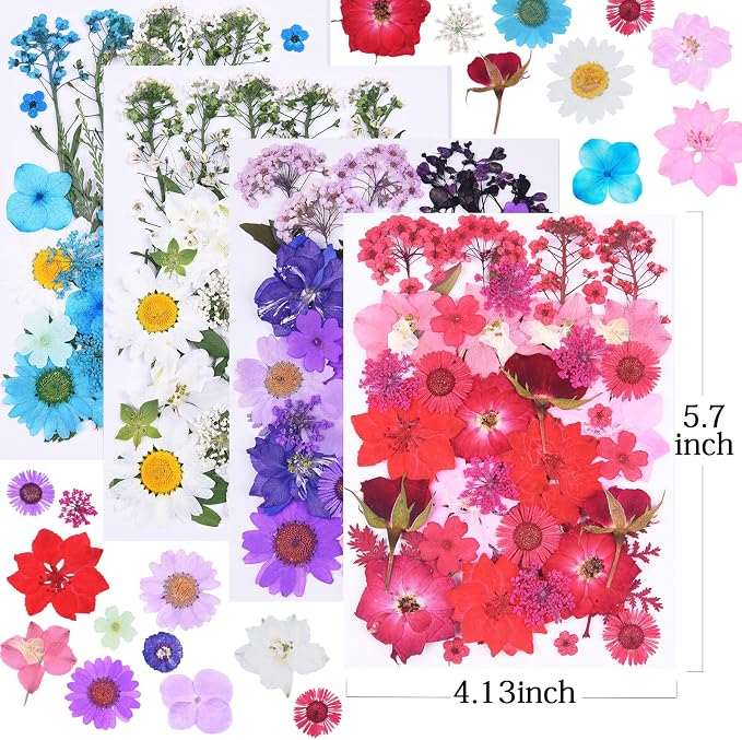 146Pcs Dried Pressed Flowers for Crafts, Xinxinran Dry Flowers Kit for Resin - Image 2