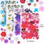 146Pcs Dried Pressed Flowers for Crafts, Xinxinran Dry Flowers Kit for Resin - Image 2