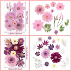Nuanchu Dried Pressed Flowers Bulk - Image 3
