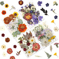 LUXEEASE 80P Vintage Pastel Dried Pressed Flowers | Soft retro pastels by LUXEEASE