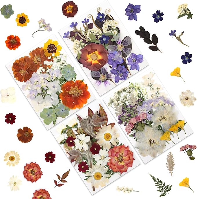 LUXEEASE 80P Vintage Pastel Dried Pressed Flowers | Soft retro pastels by LUXEEASE