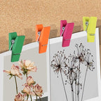 50Pcs Push Pin Clips Thumb Tacks - Image 6