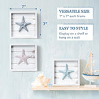 Tide and Tales 3D Starfish Wall Art Coastal Theme Wall Hanging Decoration - Image 3