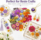 173 pcs Dried Flowers for Resin, Natural Flowers and Leaves Kit - Image 7