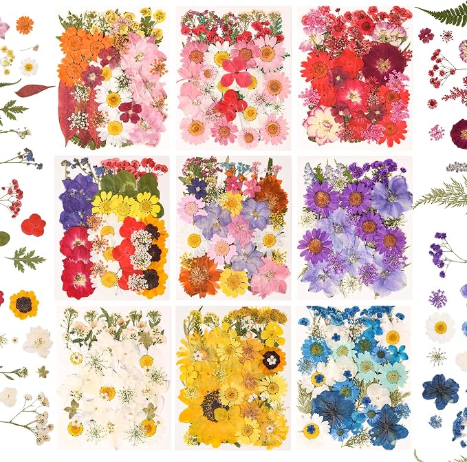 330PCS Natural Color Pressed Dried Flowers by nisetten
