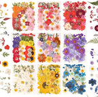 330PCS Natural Color Pressed Dried Flowers by nisetten