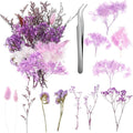 Real Dried Flowers, Natural Dry Flowers Mixed Natural Pressed Flowers Flores by auroray
