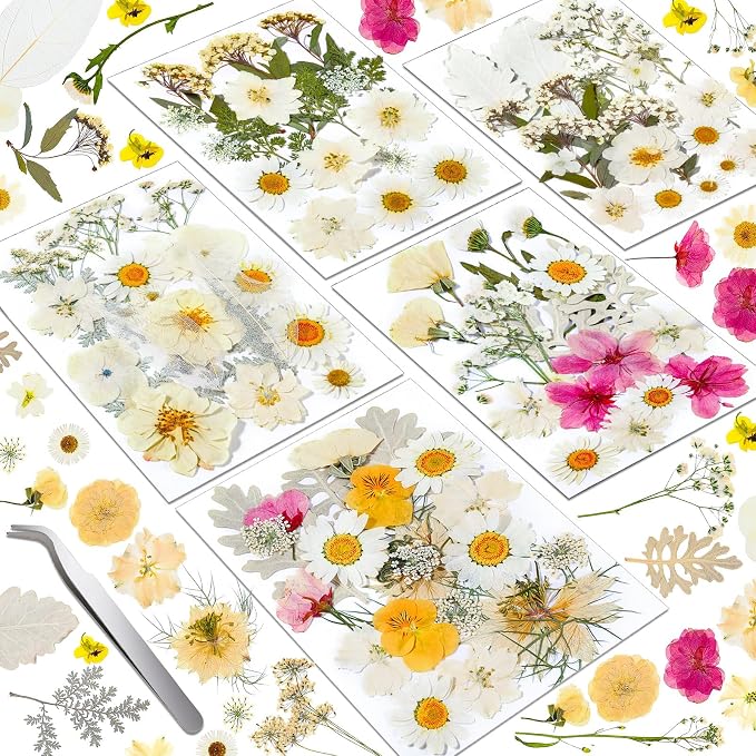 Dried Pressed Flowers for Resin, Real Pressed Flowers Dry Leaves Bulk Natural by Cruzix