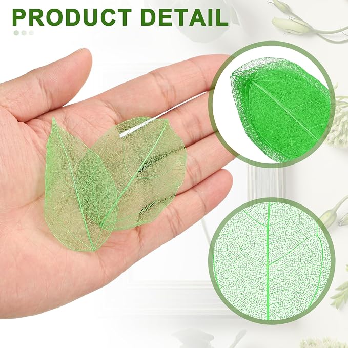 uxcell 100 Pcs Green Skeleton Leaves - Image 3