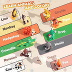 Aestd-ST Air Dry Clay Kit - Image 5