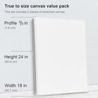PHOENIX 18x24 Inch Pack of 2 Canvas - Image 2