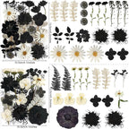 131PCS Black White Dried Pressed Flowers - Image 3