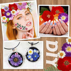 Nuanchu Dried Flower for Resin Crafts Pressed Flowers Bulk, Real Dried - Image 5