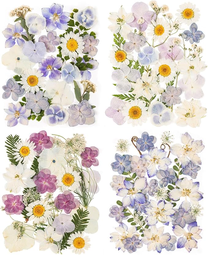 120pcs Dried Pressed Hydrangea Flowers by LGFMGWH