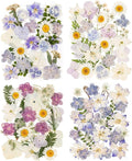 120pcs Dried Pressed Hydrangea Flowers by LGFMGWH