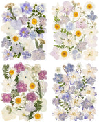 120pcs Dried Pressed Hydrangea Flowers by LGFMGWH