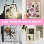 Dried Flowers for Resin 116Pcs | Pink Real Natural Pressed Flowers - Image 4