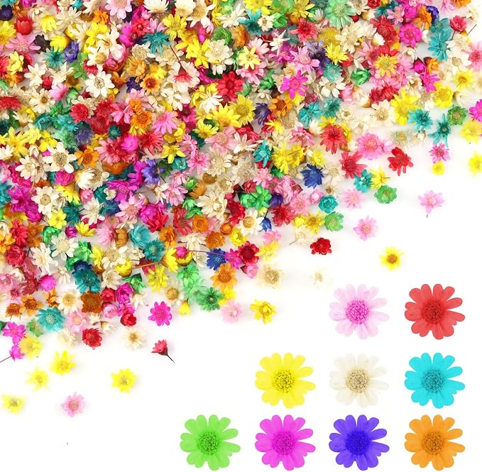 1700 PCS Mini Dried Flowers for Resin, Small Dried Flowers for Crafts, by Unknown