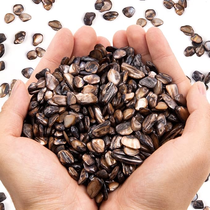 QICQDRAM Crushed Shells for Crafts About 1LB Small Natural Crushed Shells Bulk by QICQDRAM