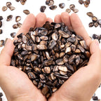 QICQDRAM Crushed Shells for Crafts About 1LB Small Natural Crushed Shells Bulk by QICQDRAM