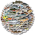 57Pcs Deep Sea Fish Stickers Waterproof Vinyl, Ocean Deepwater Fish Decals by Unknown