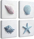 TideAndTales Beach Decor Seashell Wall Art by TideandTales