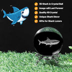 3D Shark Crystal Ball with Stand Lase Engraved Glass Sphere Paperweight Shark - Image 4