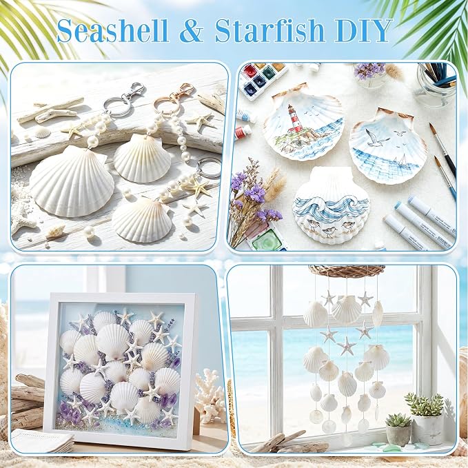 Junkin 40 Pack Natural Scallop Shells and Artificial Starfish - Image 4