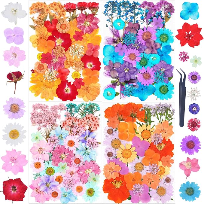 141Pcs Dried Pressed Flowers for Crafts, Xinxinran Dry Flower Kit for Resin by Unknown