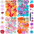 141Pcs Dried Pressed Flowers for Crafts, Xinxinran Dry Flower Kit for Resin by Unknown