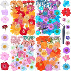 141Pcs Dried Pressed Flowers for Crafts, Xinxinran Dry Flower Kit for Resin by Unknown