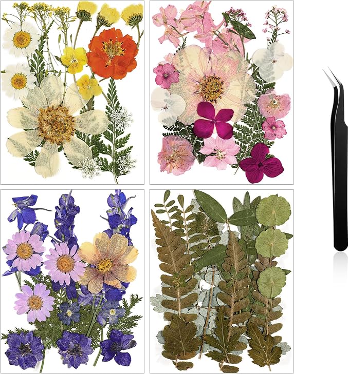 Nuanchu Dried Flower for Crafts Resin Pressed Flowers Bulk Real Dried by Nuanchu