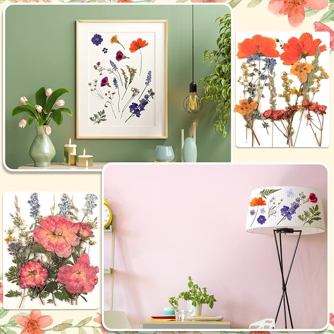 Nuanchu Dried Flower for Crafts Resin Pressed Flowers Bulk Dried Wildflowers - Image 5