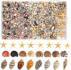 1200 PCS Tiny Seashells & 21 Starfish Mixed 18 Kinds Bulk Beach Small Shells by HOHUCRAB