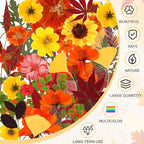 Augshy Fall Dried Pressed Flowers Orange Pressed Fall Leaves - Image 4