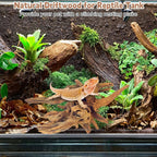 PINVNBY Natural Large Driftwood - Image 6