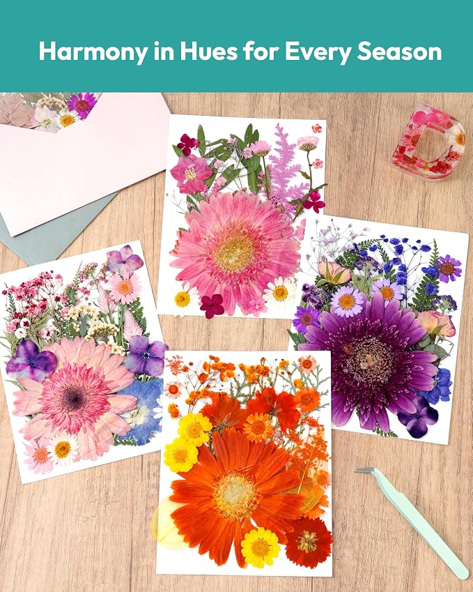 Dried Pressed Flowers, Resiners Dried Flowers - Image 5