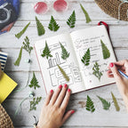 80 Pcs Green Ferns Dried Pressed Flowers Bulk - Image 7